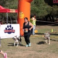 Gran Premio PICEMAR