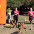 Gran Premio PICEMAR
