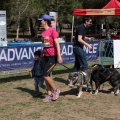 Gran Premio PICEMAR