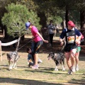 Gran Premio PICEMAR