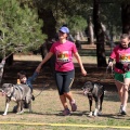 Gran Premio PICEMAR
