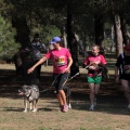 Gran Premio PICEMAR