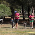 Gran Premio PICEMAR