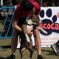 Gran Premio PICEMAR