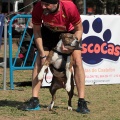 Gran Premio PICEMAR