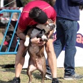 Gran Premio PICEMAR