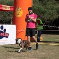 Gran Premio PICEMAR