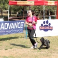 Gran Premio PICEMAR