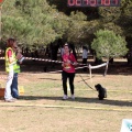 Gran Premio PICEMAR