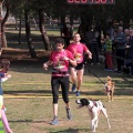 Gran Premio PICEMAR