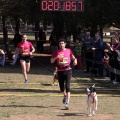 Gran Premio PICEMAR
