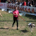Gran Premio PICEMAR
