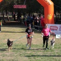 Gran Premio PICEMAR