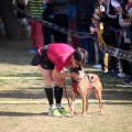Gran Premio PICEMAR