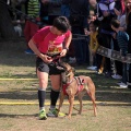 Gran Premio PICEMAR