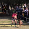 Gran Premio PICEMAR