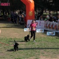 Gran Premio PICEMAR