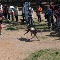 Gran Premio PICEMAR