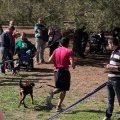 Gran Premio PICEMAR