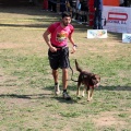 Gran Premio PICEMAR