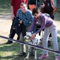 Gran Premio PICEMAR