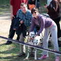 Gran Premio PICEMAR