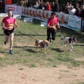 Gran Premio PICEMAR