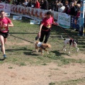 Gran Premio PICEMAR