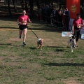 Gran Premio PICEMAR