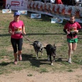 Gran Premio PICEMAR