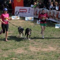 Gran Premio PICEMAR