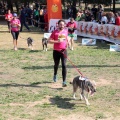 Gran Premio PICEMAR