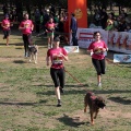 Gran Premio PICEMAR