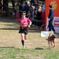 Gran Premio PICEMAR