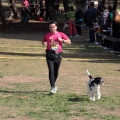 Gran Premio PICEMAR
