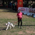 Gran Premio PICEMAR