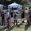 Gran Premio PICEMAR