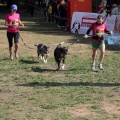 Gran Premio PICEMAR
