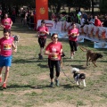 Gran Premio PICEMAR
