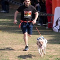 Gran Premio PICEMAR
