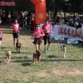Gran Premio PICEMAR