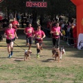 Gran Premio PICEMAR