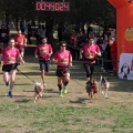 Gran Premio PICEMAR