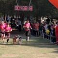 Gran Premio PICEMAR