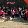 Gran Premio PICEMAR