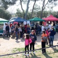Gran Premio PICEMAR