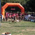Gran Premio PICEMAR