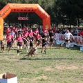 Gran Premio PICEMAR