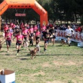 Gran Premio PICEMAR