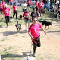 Gran Premio PICEMAR